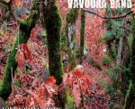 Vavoura ethnic cover