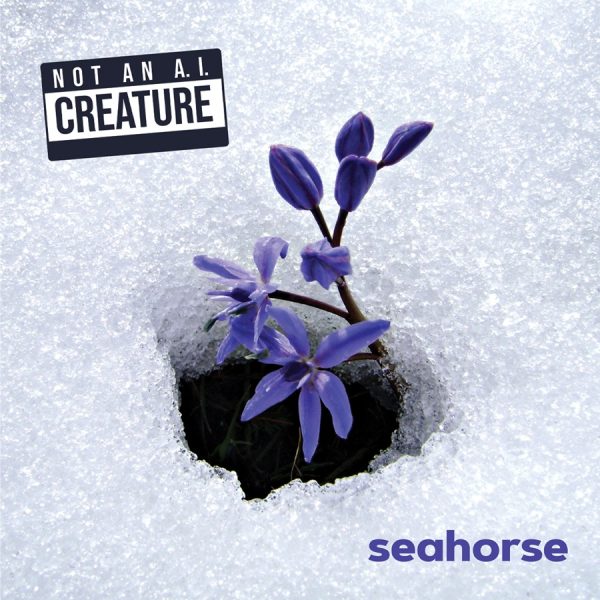 SEAHORSE – NOT AN AI CREATURE cover SEAHORSE - NOT AN AI CREATURE cover